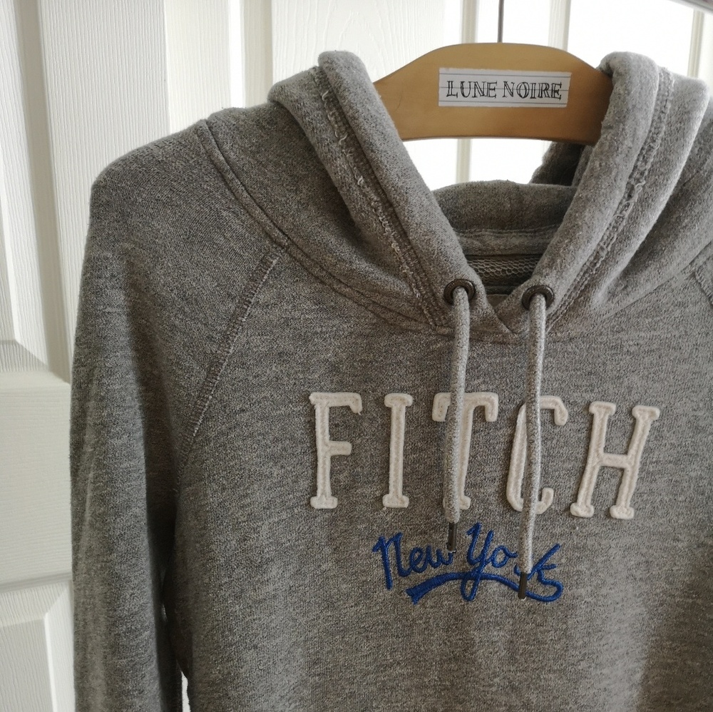 Abercrombie and Fitch New York Hooded Sweater